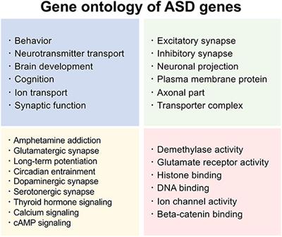Genomic Strategies for Understanding the Pathophysiology of Autism Spectrum Disorder